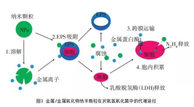 污水處理設(shè)備__全康環(huán)保QKEP