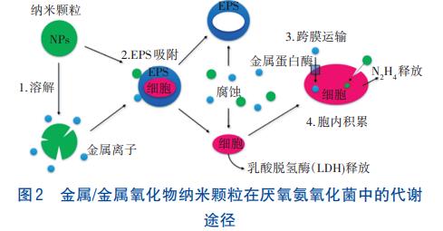 污水處理設(shè)備__全康環(huán)保QKEP